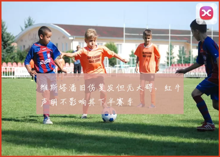 维斯塔潘旧伤复发但无大碍，红牛声明不影响其下半赛季