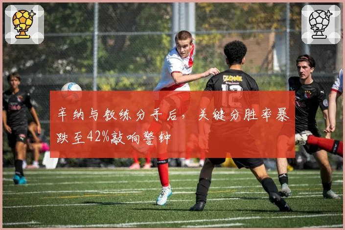 辛纳与教练分手后，关键分胜率暴跌至42%敲响警钟