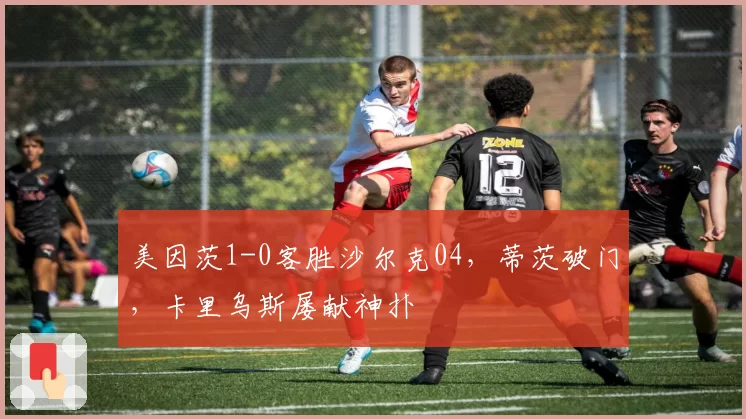 美因茨1-0客胜沙尔克04,蒂茨破门,卡里乌斯屡献神扑
