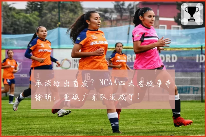 承诺给出首发？NCAA四大名校争夺徐昕，重返广东队没戏了！