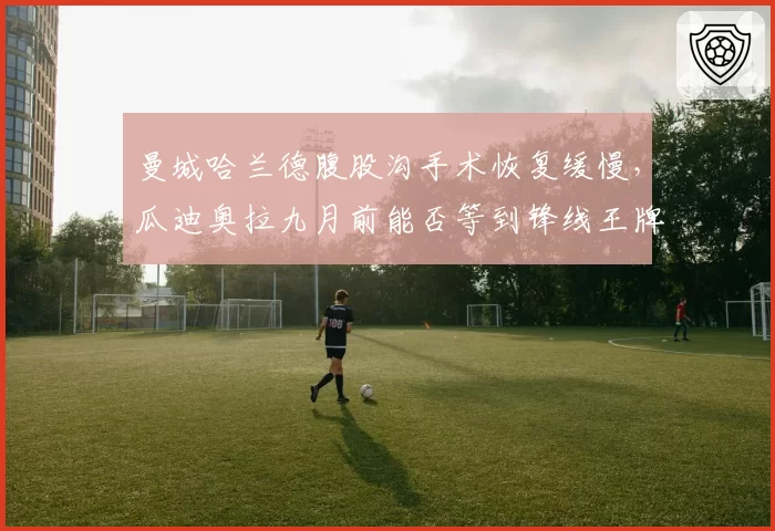 曼城哈兰德腹股沟手术恢复缓慢，瓜迪奥拉九月前能否等到锋线王牌？