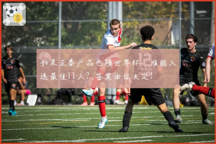 如果正泰产品也踢世界杯,谁能入选最佳11人?答案由你决定!
