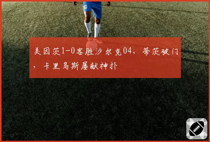 美因茨1-0客胜沙尔克04，蒂茨破门，卡里乌斯屡献神扑